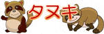 タヌキ