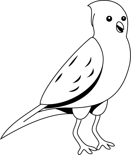 No15小鳥イラスト