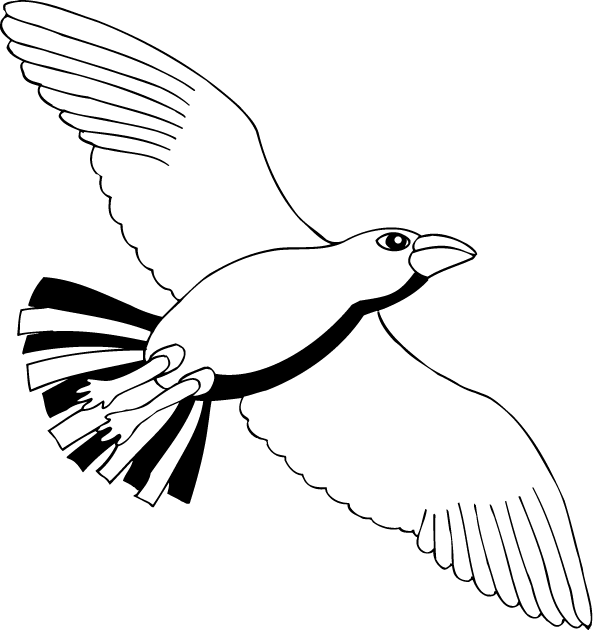 No20小鳥イラスト