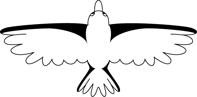 No03タカイラスト