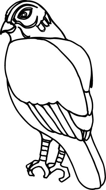 No08タカイラスト