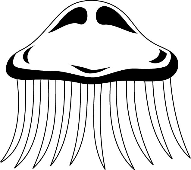 No01クラゲイラスト