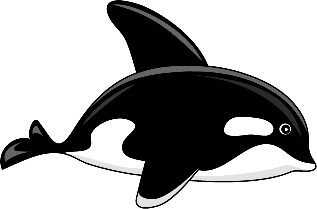 No03シャチイラスト