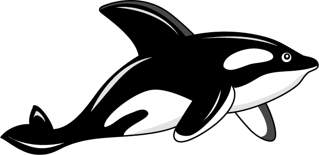 No07シャチイラスト