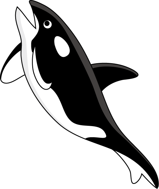 No08シャチイラスト