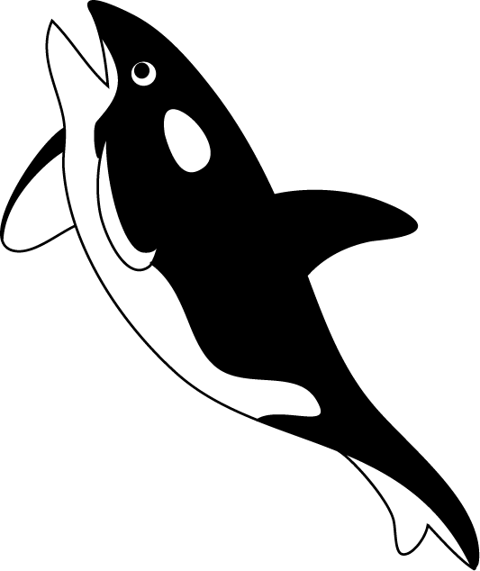 No08シャチイラスト