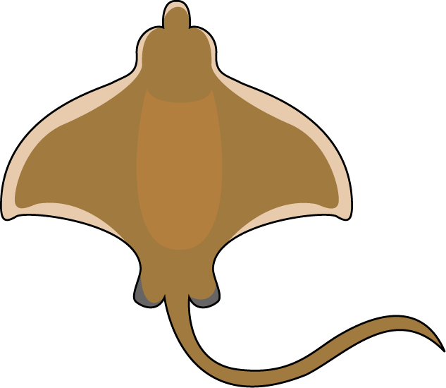 No01エイイラスト