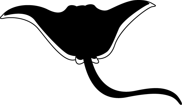 No08エイイラスト