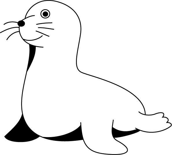 No08アシカイラスト