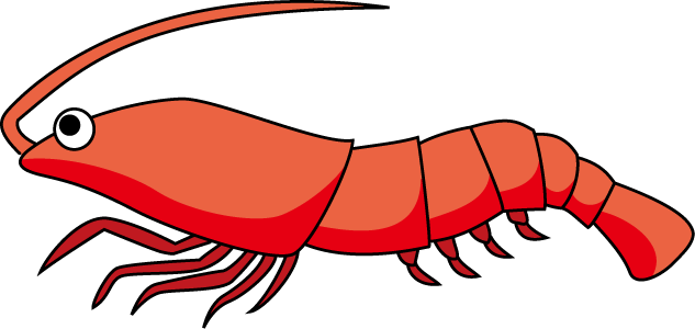 No01エビイラスト