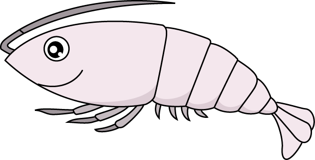 No04エビイラスト