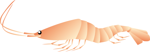 No09エビイラスト