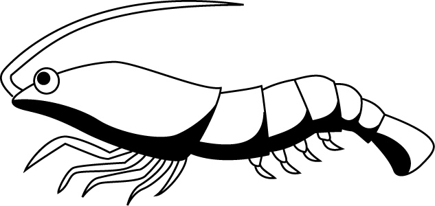 No01エビイラスト