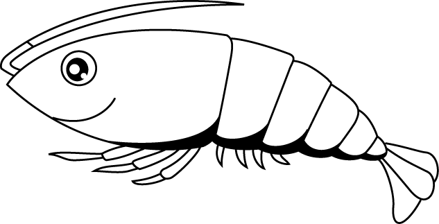 No04エビイラスト