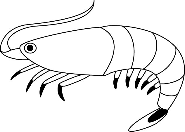 No08エビイラスト
