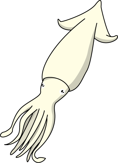 No03イカイラスト