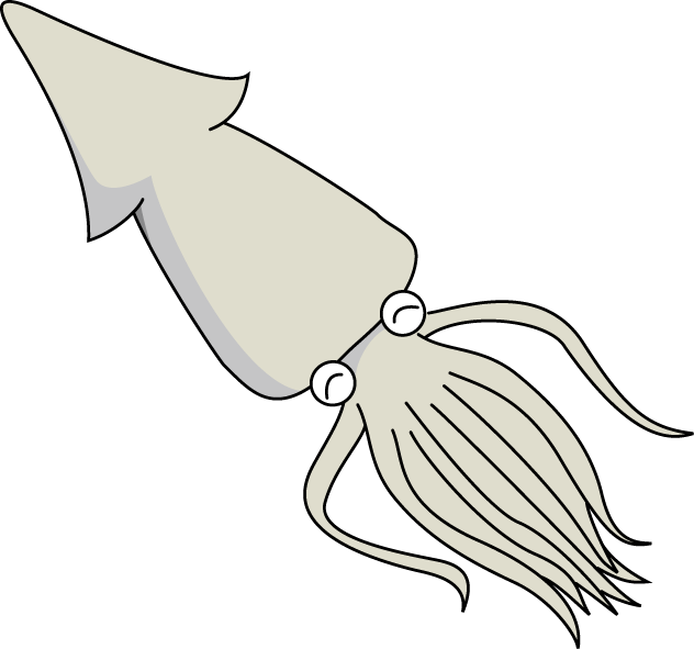 No09イカイラスト