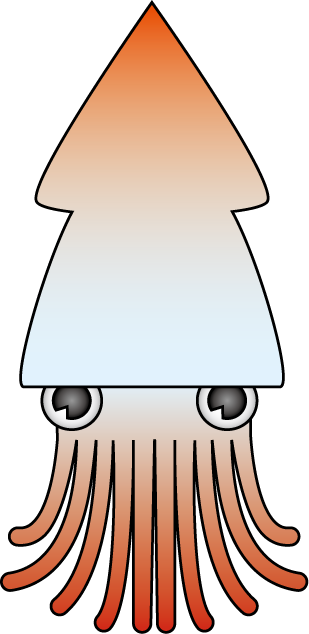 No10イカイラスト