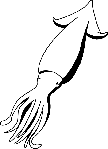 No03イカイラスト