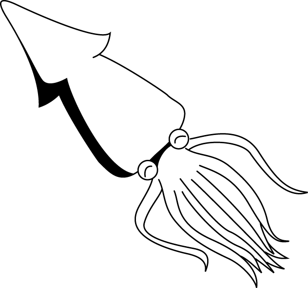 No09イカイラスト