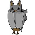 コウモリ