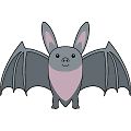 コウモリ