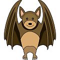 コウモリ