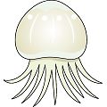 くらげ