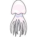 くらげ