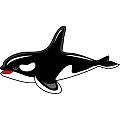 シャチ