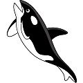 シャチ