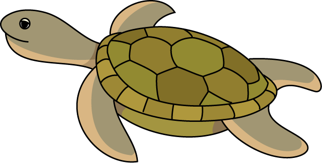 No01カメイラスト