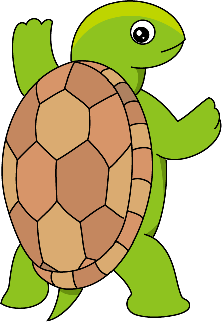 No03カメイラスト