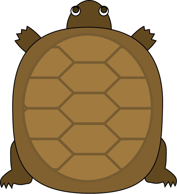 No09カメイラスト