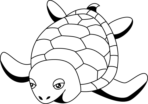 No02カメイラスト