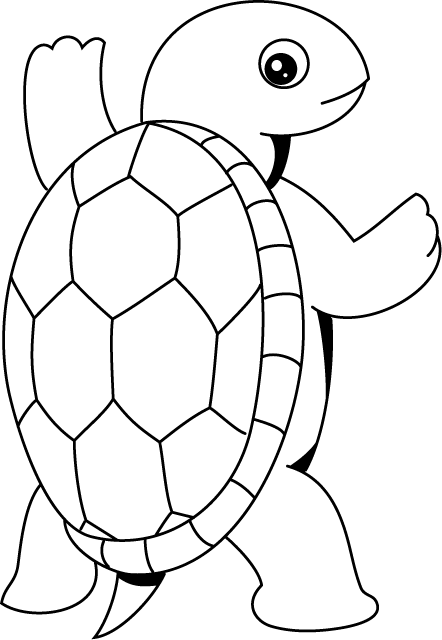 No03カメイラスト