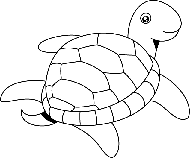 No04カメイラスト