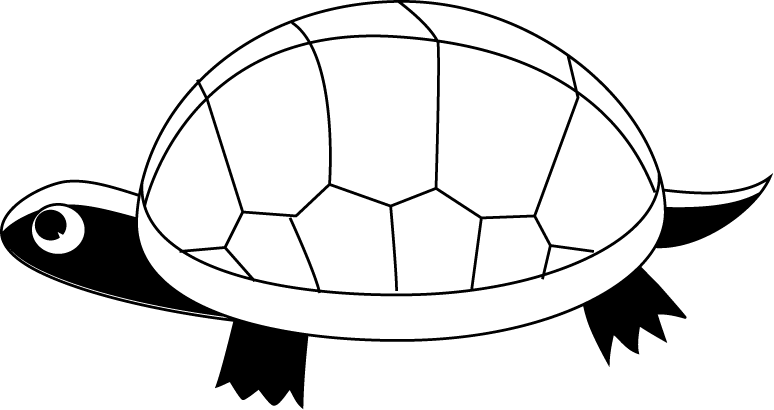 No06カメイラスト