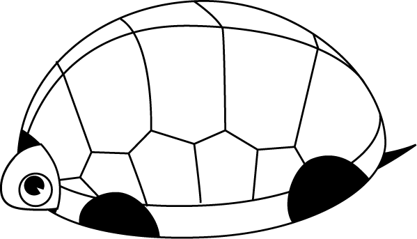 No08カメイラスト