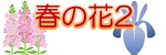 �t�̉�2�̃C���X�g