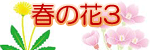 �t�̉�3�̃C���X�g