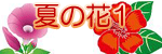 �Ẳ�1�̃C���X�g
