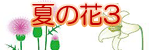 �Ẳ�3�̃C���X�g