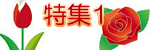 ���W1�̃C���X�g
