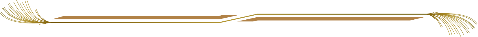 秋冬の花の飾り罫06-すすきイラスト