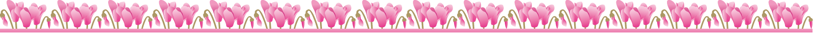 秋冬の花の飾り罫19-シクラメンイラスト