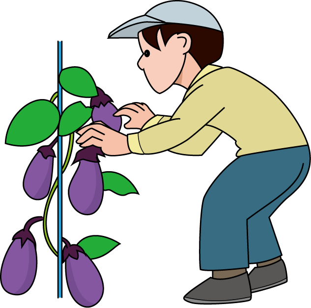 農業27-なす イラスト