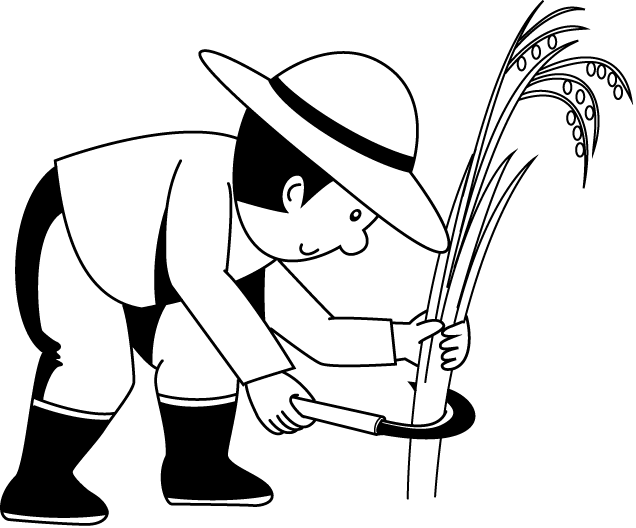 農業20-稲刈り イラスト