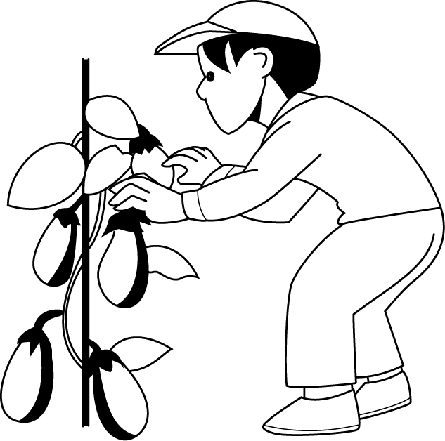 農業27-なす イラスト