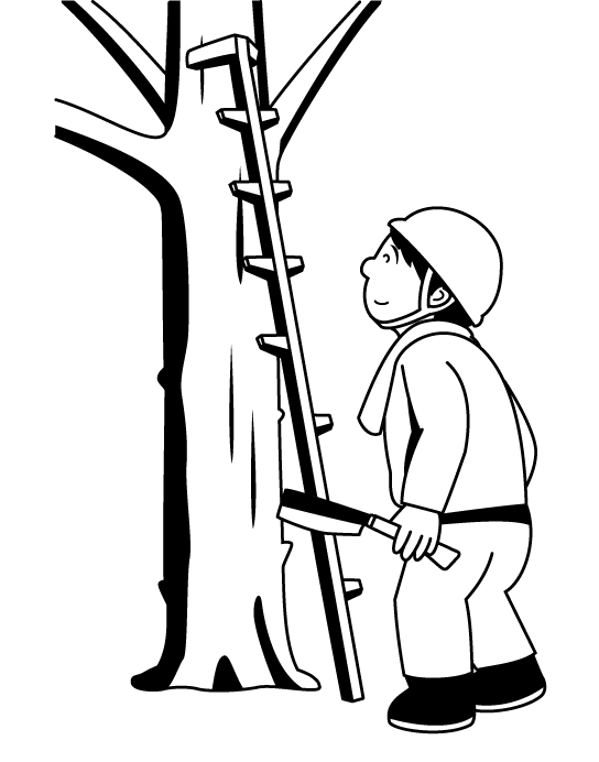 林業17-梯子 イラスト